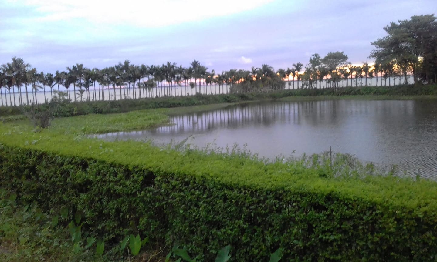মুসলিম হোস্টেল পুকুর